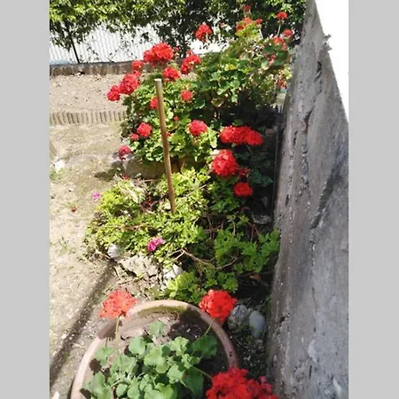 Appartement Moneghetti Beausoleil